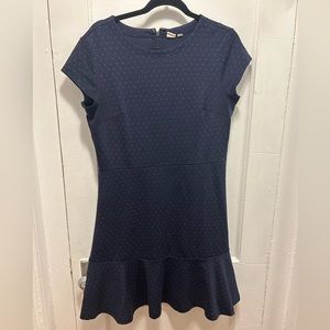 Gap Short Sleeve Blue Polka Dot Dress - Fit and Flare - Size 12